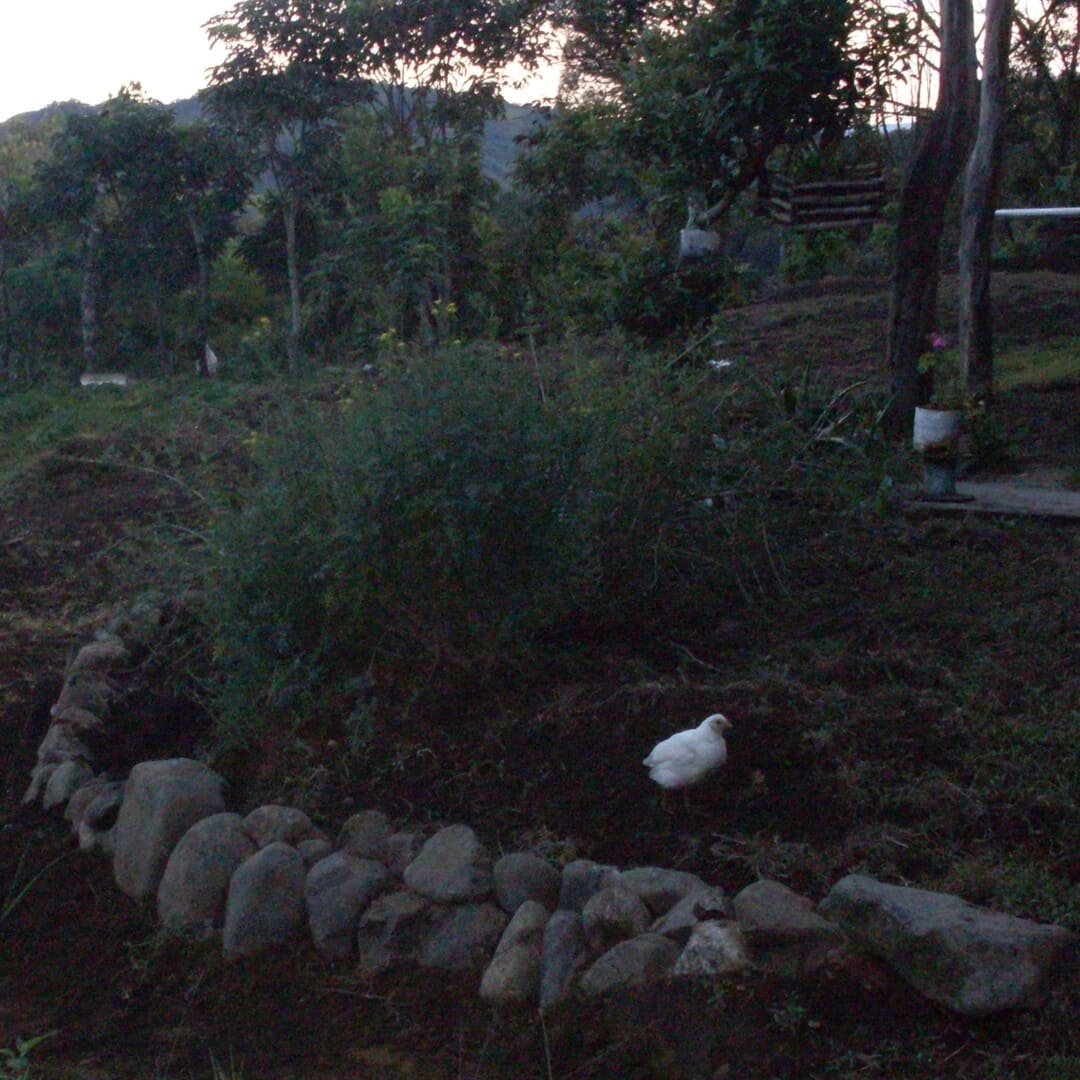 Cover Art canción cuanto cuesta aprender a vivir